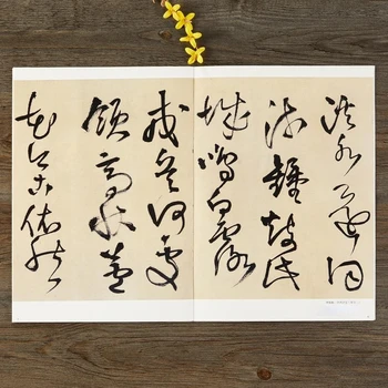 Ван Дуо Курсив Пискюл Тетрадка За записи на Традиционните китайски Йероглифи Тетрадка За записи на Китайската Класическа Пискюл За практикуване на Калиграфия