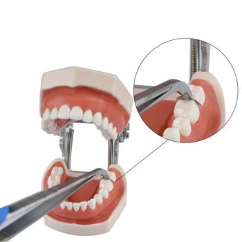 Зъбните матрица Пръстен Клещи, клинове Матрични лента Стил на Секционни контурный скоба tool е Инструмент за имплантиране