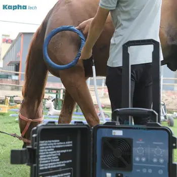 Магнитотерапевтическая контур за коне, улучшающая производителността на машината за лечение на коне