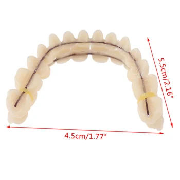 Зъбни импланти Модел на зъбите на стоматологичен материал Стандартен режим на обучение по стоматология за обучение и изследване на модели на инструмента Зъбни импланти Модел на зъбите на стоматологичен материал Стандартен режим на обучение по стоматология за обучение и изследване на модели на инструмента 2
